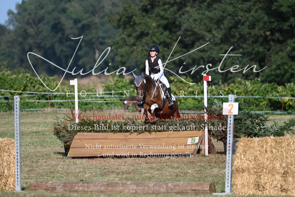 DSC_8996 | Pferde- und Turnierfotografie in Westsachsen. Pferdeportraits, Auftragszeichnungen und intuitive Kunst.