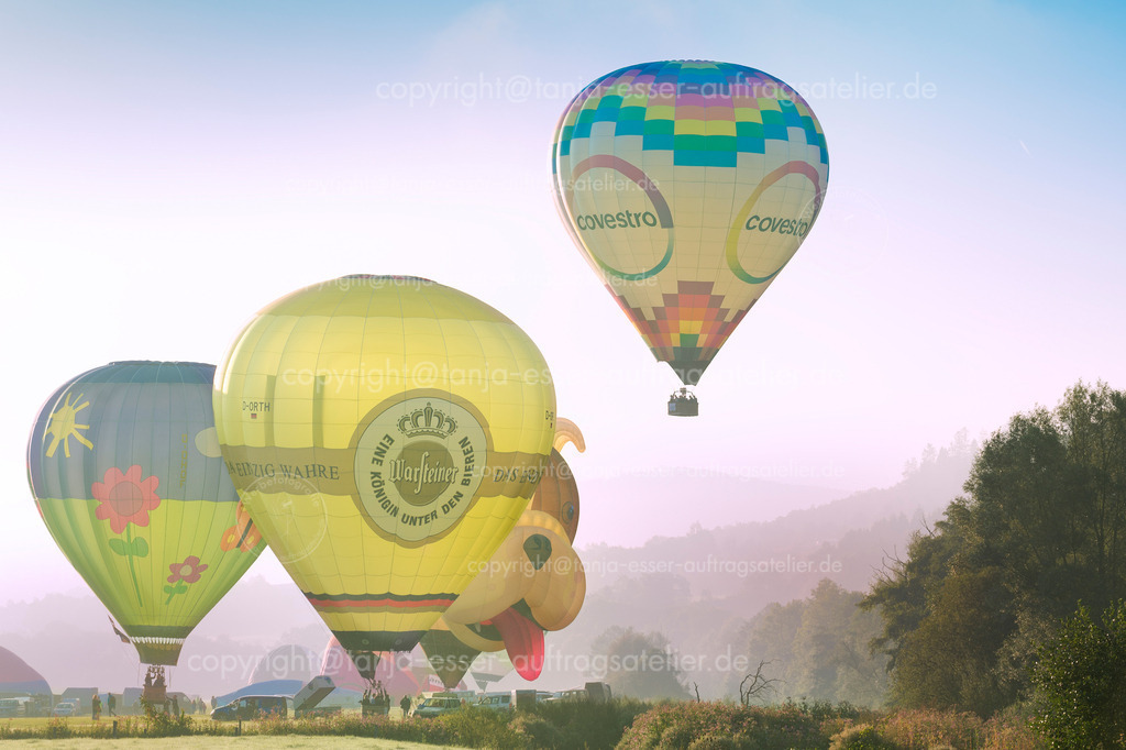 Ein Heißluftballon hebt am Morgen im Frühnebel ab anlässlich der WIM | Ein Heißluftballon startet seinen Flug. Es ist früher Morgen, der Nebel liegt über der Natur. Mehrere Ballons stehen zum Start bereit während der Warsteiner Internationalen Montgolfiade. 