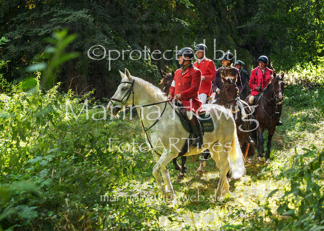 Jagd Perdoel_MarinaHewigMCH05047 | Fotografie, FotoArt, PferdesportArt, Pferdesportfotografie, Landschaftsfotografie, Reisefotografie, Reise, Pferde - Realisiert mit Pictrs.com