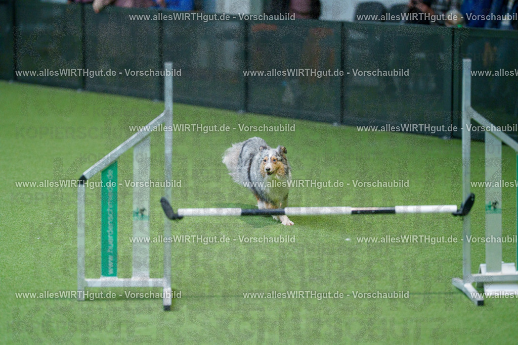 @allesWIRTHgut_Tierfotografie - www.allesWIRTHgut.de - 2604251000-7R509424 | Professionelle Tierfotografie in Mönchengladbach von Daniel Wirth (allesWIRTHgut). Liebevolle & natürliche Bilder von Hunden & Katzen für unvergessliche Erinnerungen.