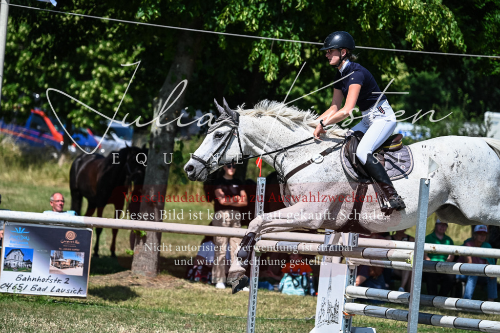 DSC_1088 | Pferde- und Turnierfotografie in Westsachsen. Pferdeportraits, Auftragszeichnungen und intuitive Kunst.
