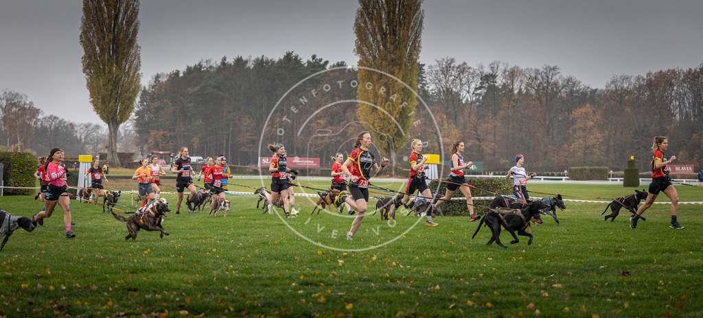 CaniXpix_DV3A8793 | Hundefotografie, Tierfotograf, Pfotenfotografie, Fotoshooting Hund, Hunde Portrait, Hundesport, Hundeportraits, Heideshooting, Hunde, Sportfotograf, Hundefotograf, Turnierhundsport, THS,  - Realisiert mit Pictrs.com