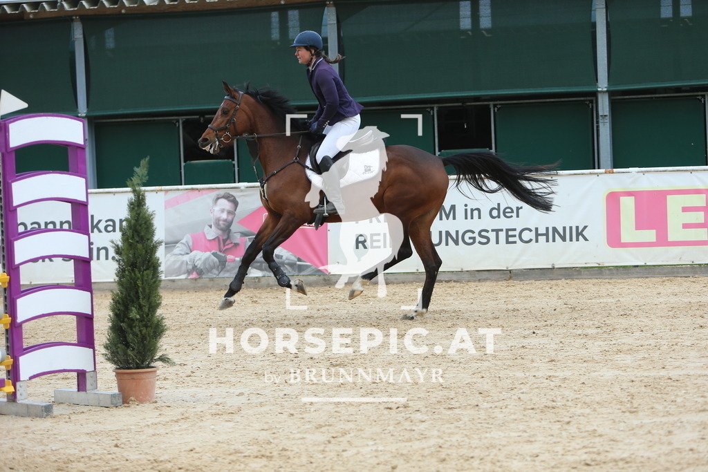DL2Q9582 | Willkommen bei Brunnmayr - Design & Fotografie – Ihrem Spezialisten für Reitturniere und Pferdeveranstaltungen in Oberösterreich, Salzburg und Bayern! Seit über 17 Jahren sind wir leidenschaftlich dabei.