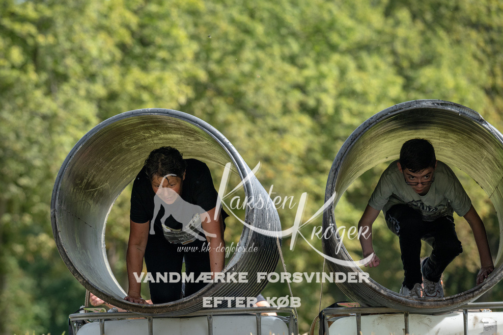 1122_ZZ93979 | kk-dogfotos