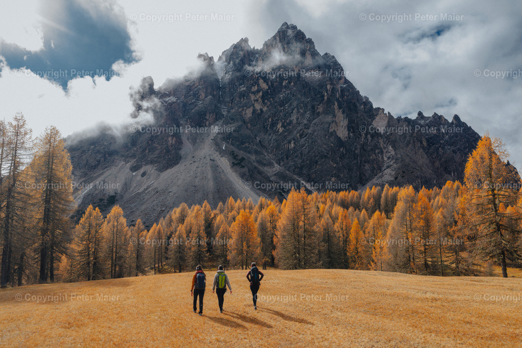 Herbst_25_Aussergsell-997 | default