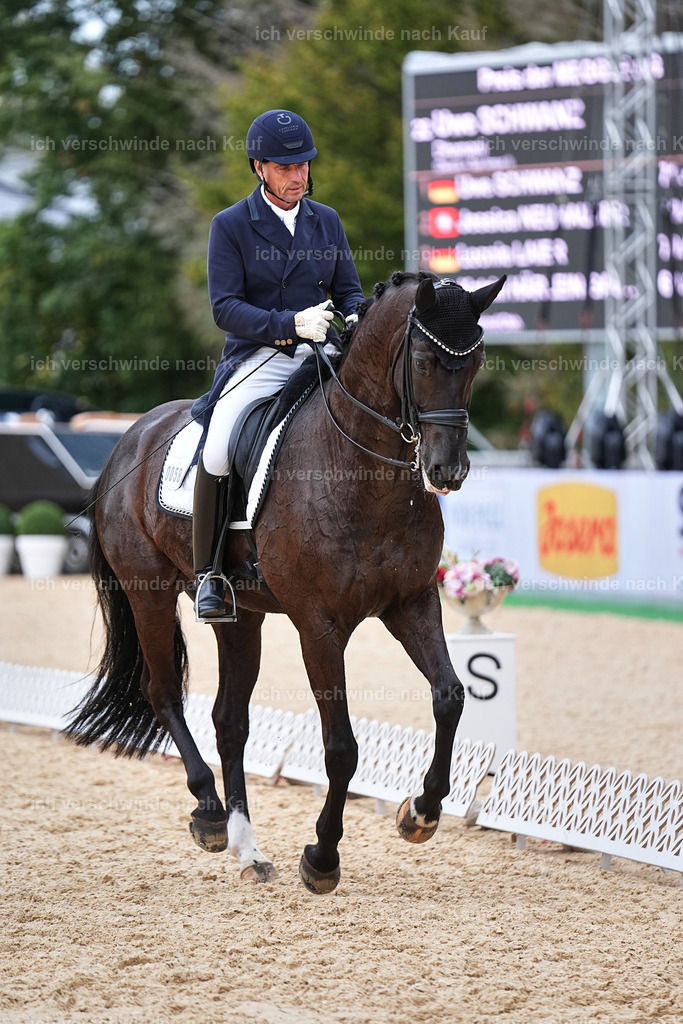 11-058-Dressur S___-Marixx-1490 | working equitationturnier fotograf videograf stoibphotography marixx film working equitation deutschland reitsport turnierfotografie eventfotografie equestrian events