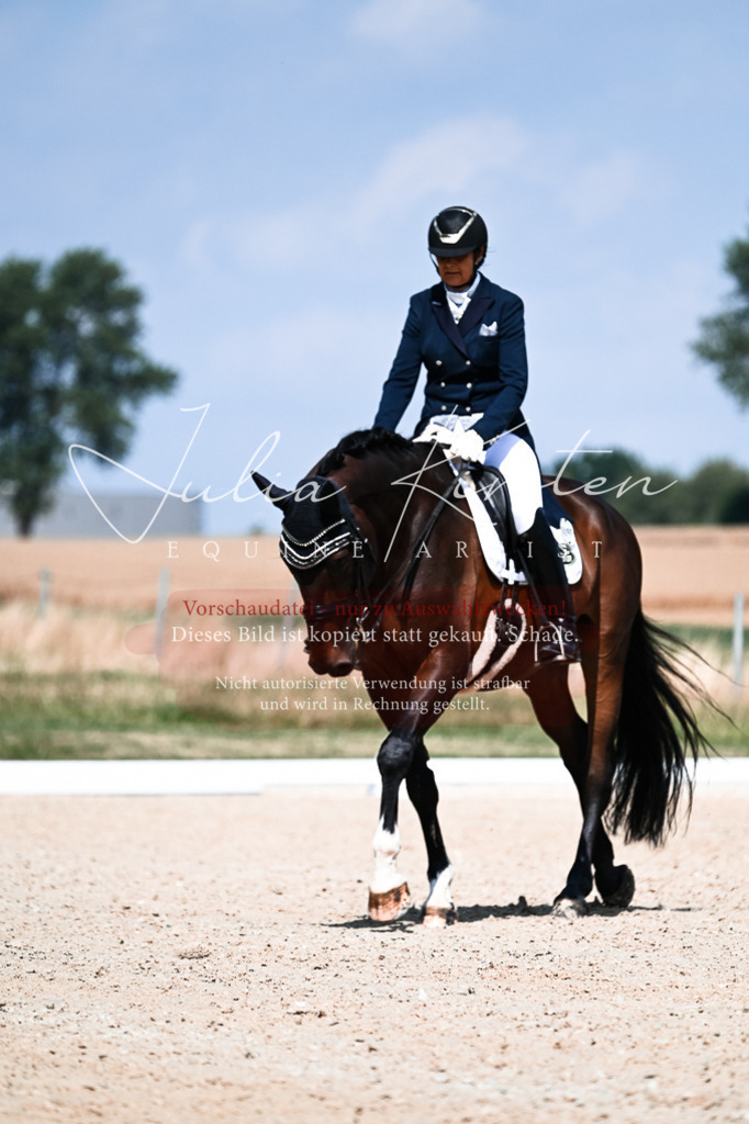 DSC_2894 | Pferde- und Turnierfotografie in Westsachsen. Pferdeportraits, Auftragszeichnungen und intuitive Kunst.