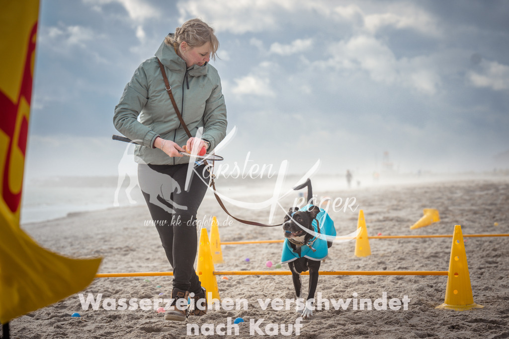 1201_ZZ93568 | kk-dogfotos