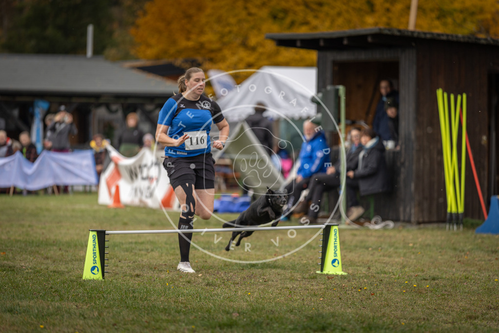 Pfotenfotografie_DV3A7391 | Hundefotografie, Tierfotograf, Pfotenfotografie, Fotoshooting Hund, Hunde Portrait, Hundesport, Hundeportraits, Heideshooting, Hunde, Sportfotograf, Hundefotograf, Turnierhundsport, THS,  - Realisiert mit Pictrs.com