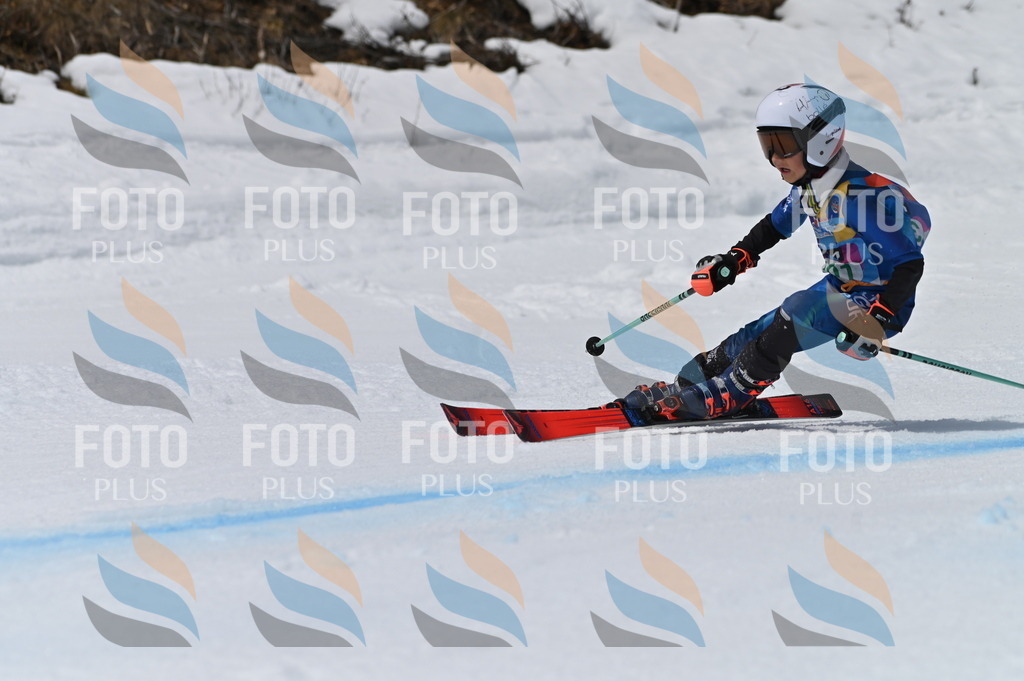 BGV_5984 | holidayphoto