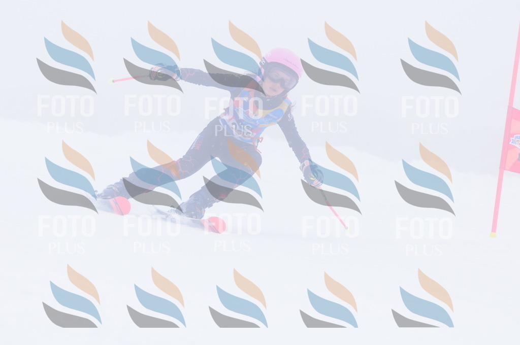 C2462 | holidayphoto