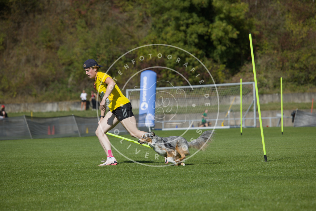 0L8A5892 | Hundefotografie, Tierfotograf, Pfotenfotografie, Fotoshooting Hund, Hunde Portrait, Hundesport, Hundeportraits, Heideshooting, Hunde, Sportfotograf, Hundefotograf, Turnierhundsport, THS,  - Realisiert mit Pictrs.com