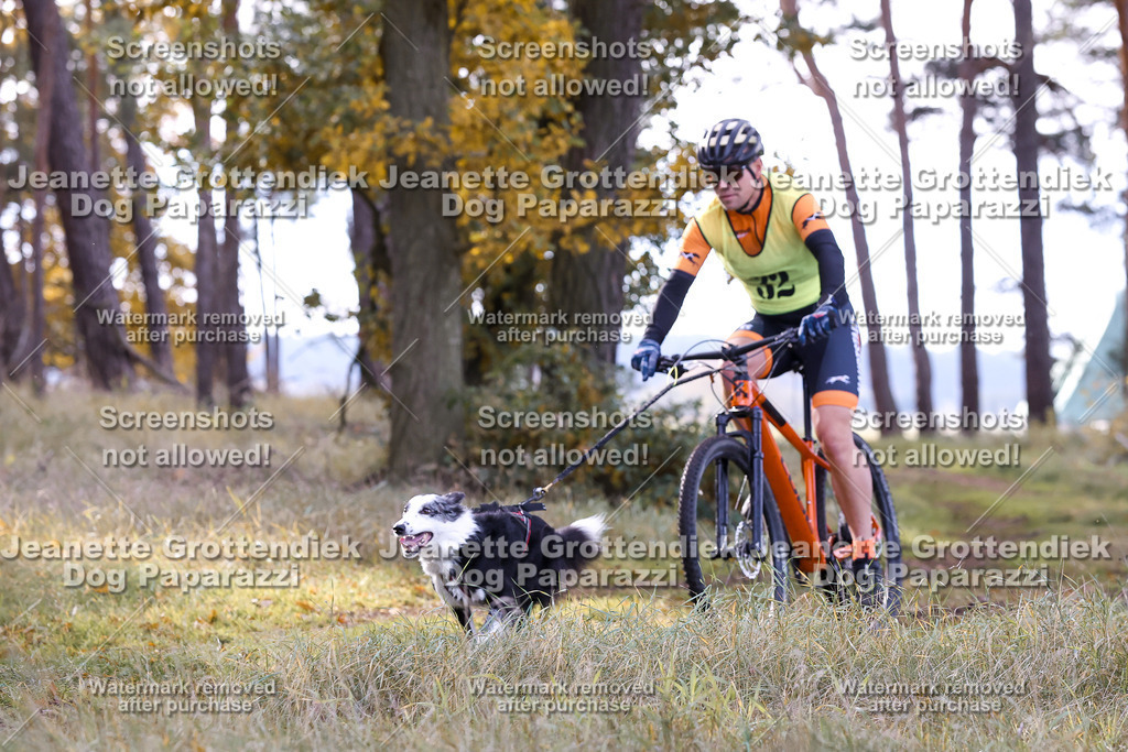 Dog Paparazzi - Elsholz 25 -133 | Dog Paparazzi Jeanette Grottendiek Fotografie & Videografie - Realisiert mit Pictrs.com