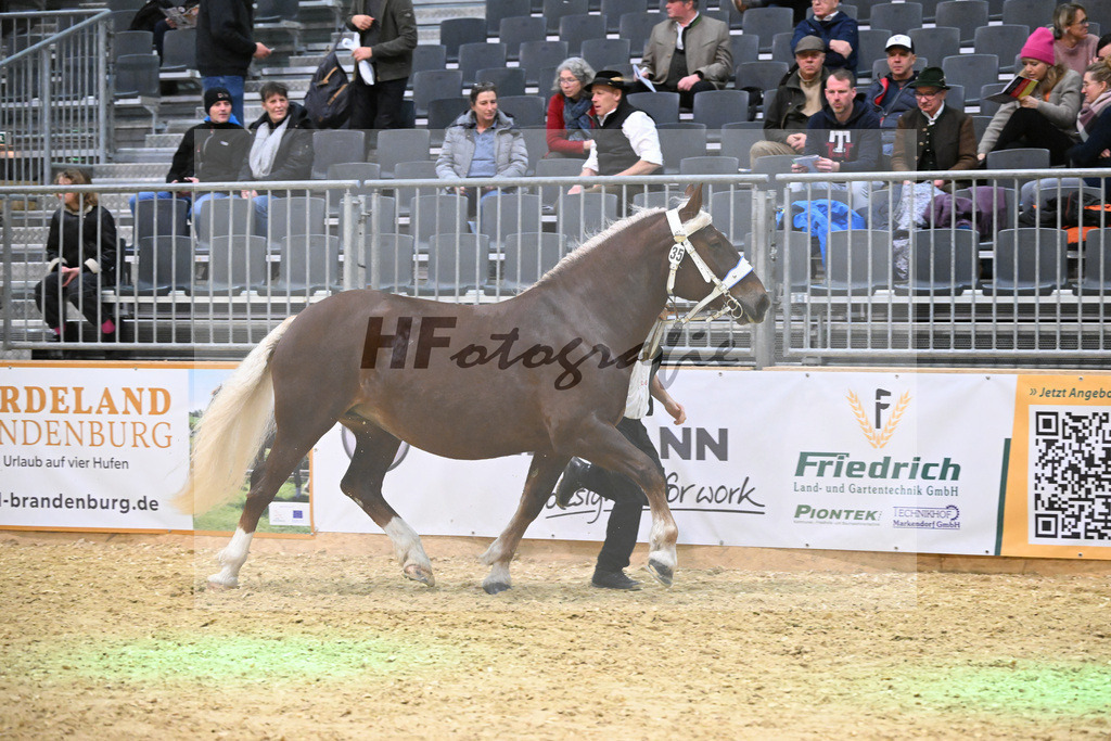 Kat-Nr. 35 Marie v. Sribery_Hoeck_1260525 | hf-fotografie - Realisiert mit Pictrs.com