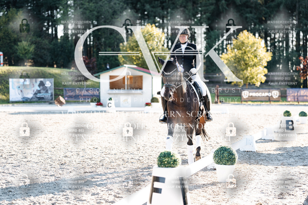 CK907230 | Turnierfotografie Pferdefotografie Trier Rheinland-Pfalz Pferdesport Reitsport Tierfotografie Sportfotografie Pferdevideo Pferdevideografie Equestrianvideography equestrianphotography  - Realisiert mit Pictrs.com
