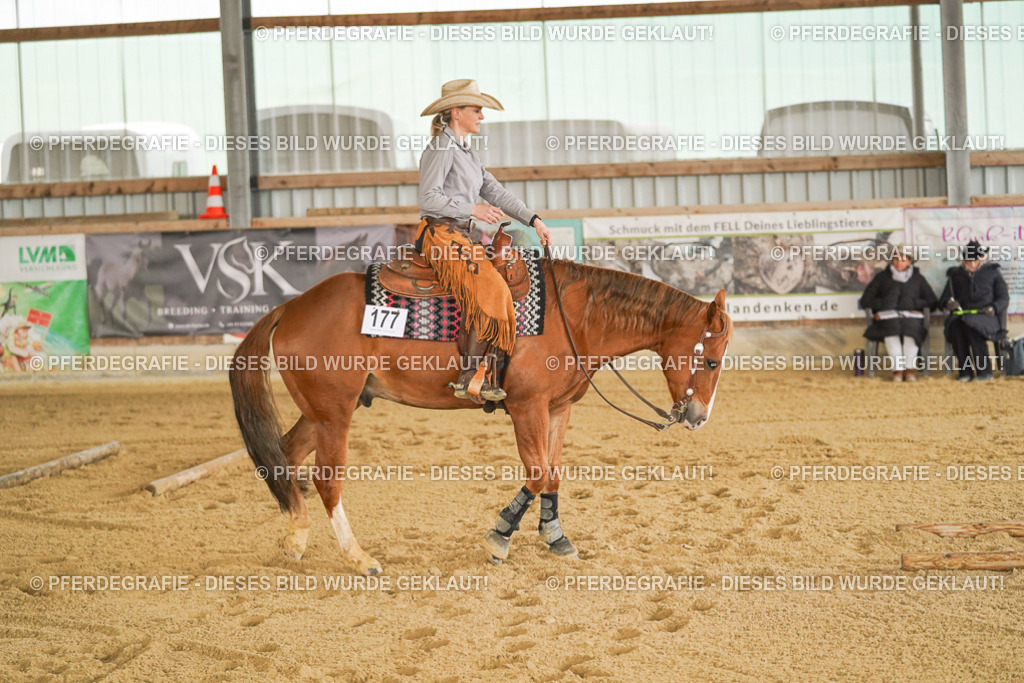 DSC04532 | Pferdegrafie