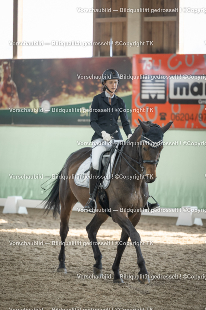 _D5A2927 | Emotionale Pferde- & People-Fotografie rund um Heidelberg, Leimen & Umgebung. Natürliche Fotos von Pferd, Mensch & Familie. Jetzt Termin sichern!