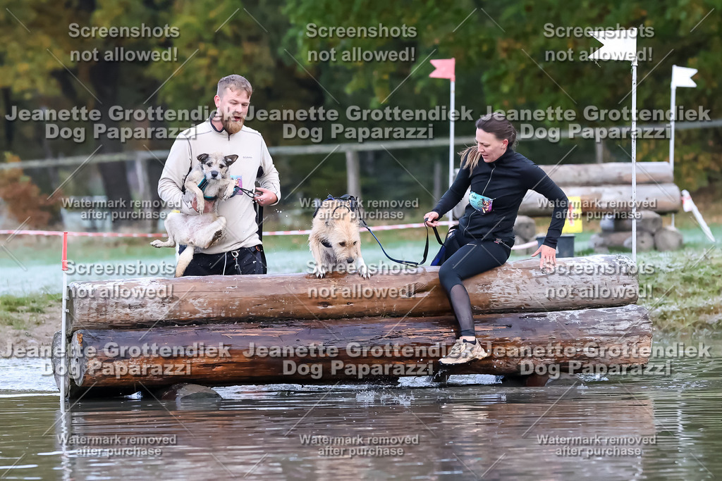 Dog Paparazzi - Strongdog 10-25-6174 | Dog Paparazzi Jeanette Grottendiek Fotografie & Videografie - Realisiert mit Pictrs.com