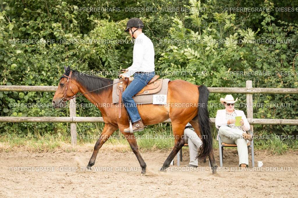 DSC00778 | Pferdegrafie