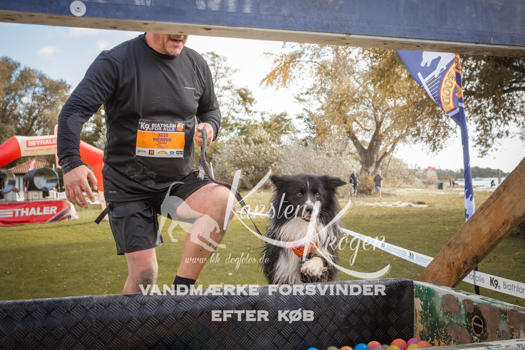 1327_ZZ90892-2 | kk-dogfotos