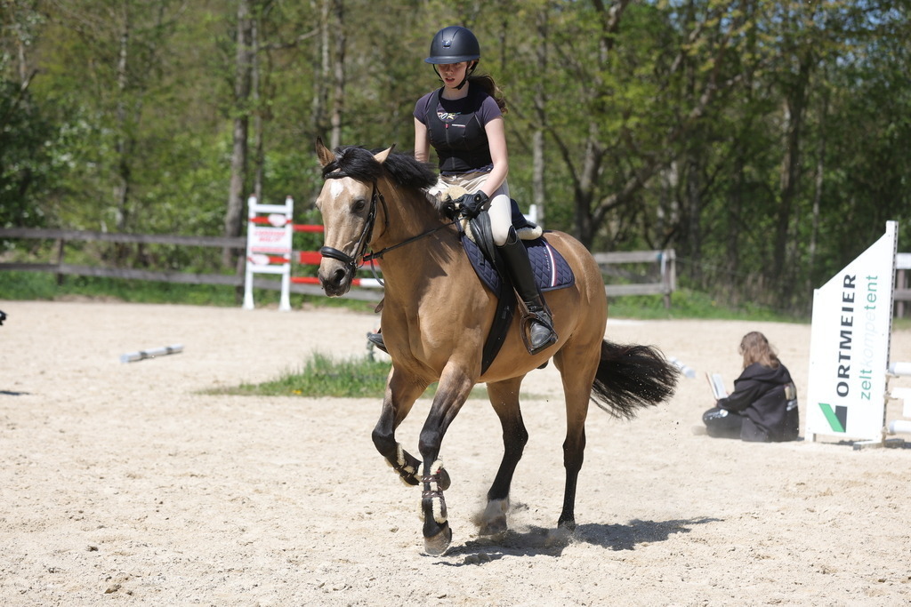 0P6A8856 | Willkommen bei Brunnmayr - Design & Fotografie – Ihrem Spezialisten für Reitturniere und Pferdeveranstaltungen in Oberösterreich, Salzburg und Bayern! Seit über 17 Jahren sind wir leidenschaftlich dabei.