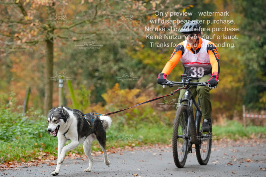 Bike_So-120 | stephaniefillaphotographie - Realisiert mit Pictrs.com