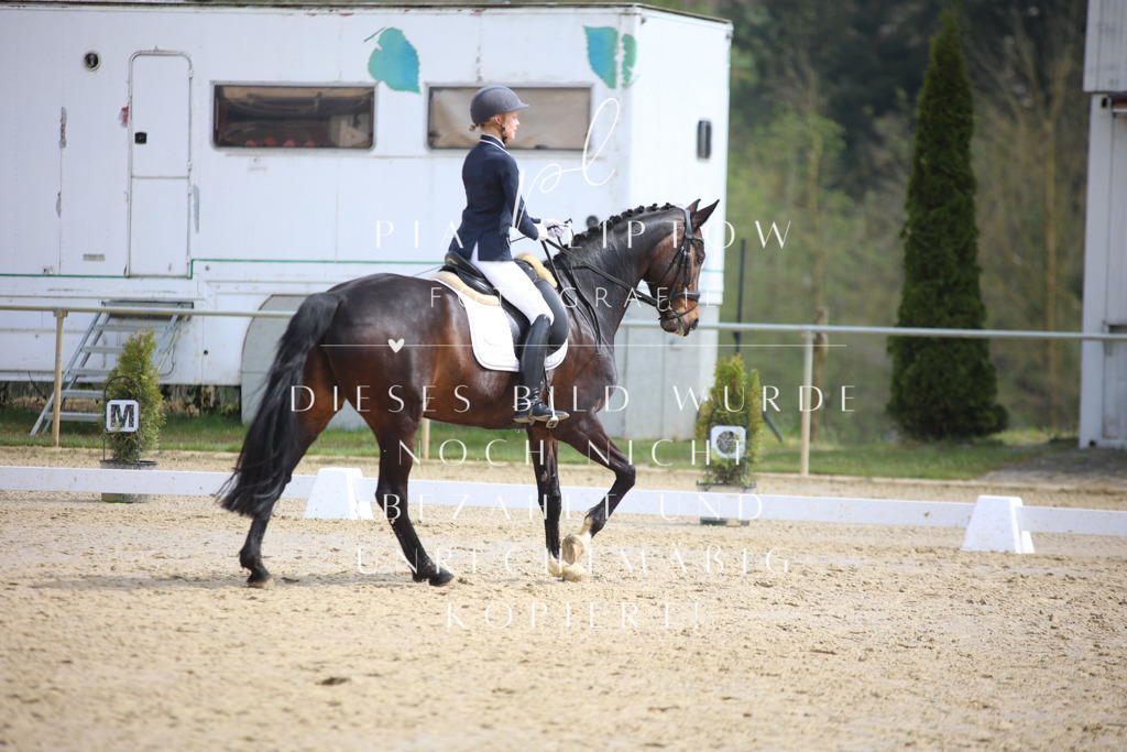 IMGT4960 | pl-fotografie