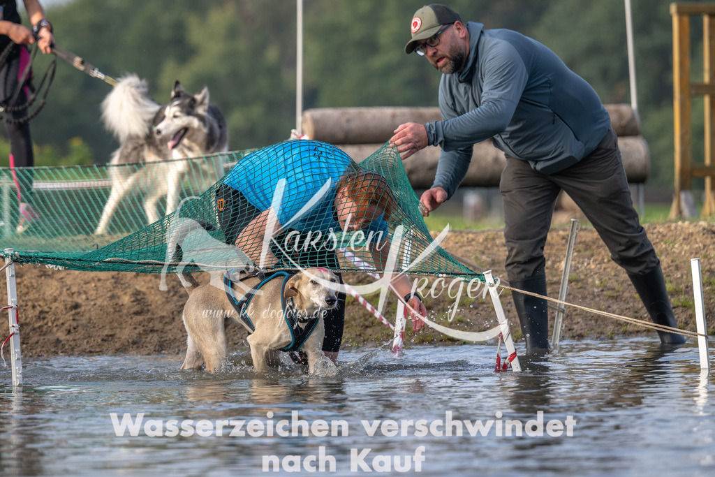 1000_ZZ91532 | kk-dogfotos