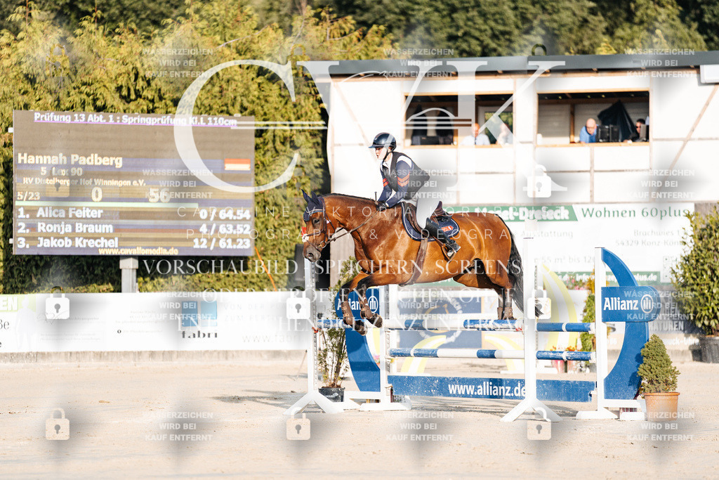 CK900676 | Turnierfotografie Pferdefotografie Trier Rheinland-Pfalz Pferdesport Reitsport Tierfotografie Sportfotografie Pferdevideo Pferdevideografie Equestrianvideography equestrianphotography  - Realisiert mit Pictrs.com
