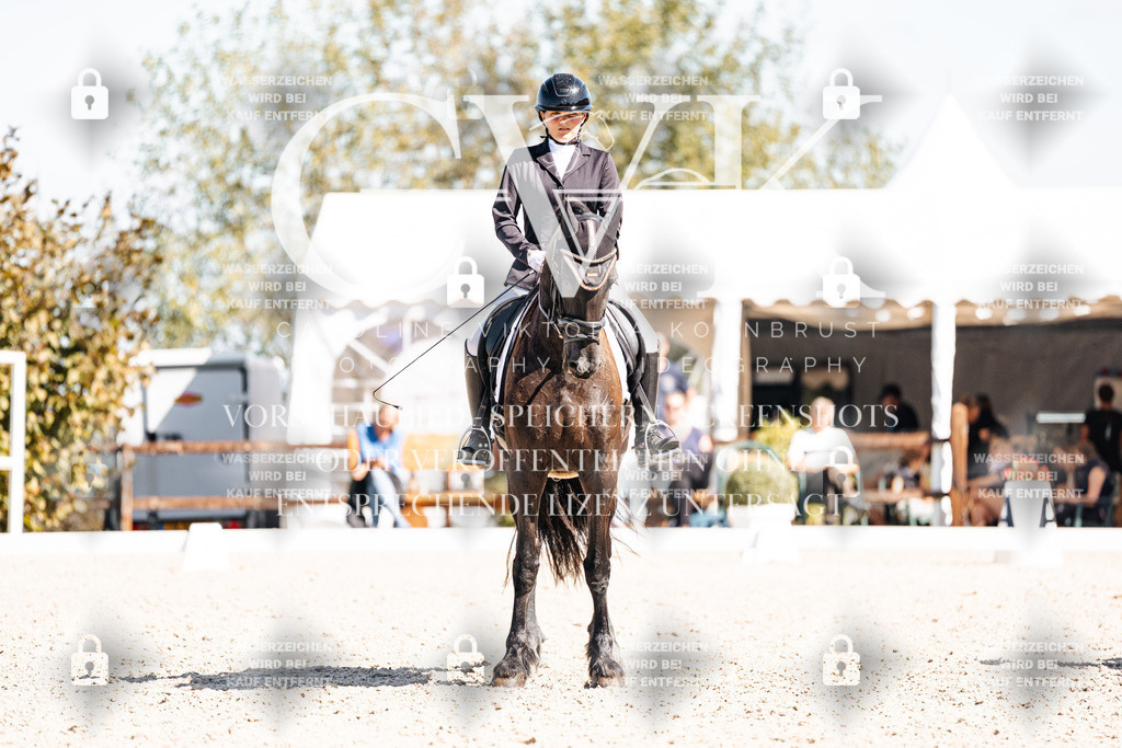 CK904002 | Turnierfotografie Pferdefotografie Trier Rheinland-Pfalz Pferdesport Reitsport Tierfotografie Sportfotografie Pferdevideo Pferdevideografie Equestrianvideography equestrianphotography  - Realisiert mit Pictrs.com