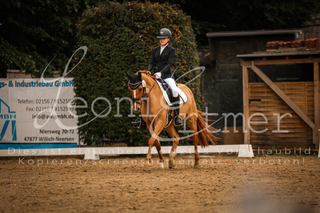 DoDrE00448 | Leoni Ertmer Photography - Realisiert mit Pictrs.com