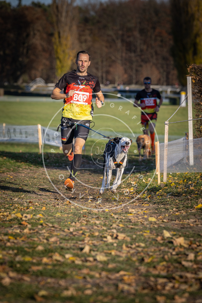 CaniXpix_DV3A2985 | Hundefotografie, Tierfotograf, Pfotenfotografie, Fotoshooting Hund, Hunde Portrait, Hundesport, Hundeportraits, Heideshooting, Hunde, Sportfotograf, Hundefotograf, Turnierhundsport, THS,  - Realisiert mit Pictrs.com