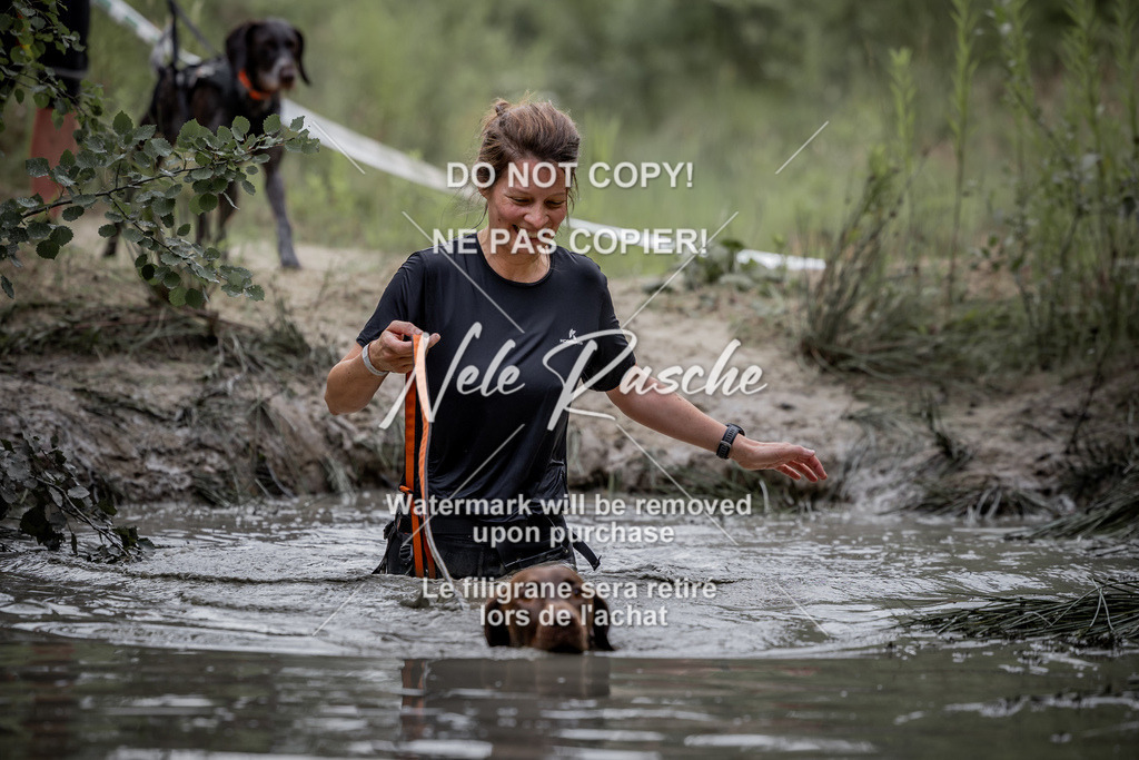 nelerasche_so0800-0930_329 | nelerasche