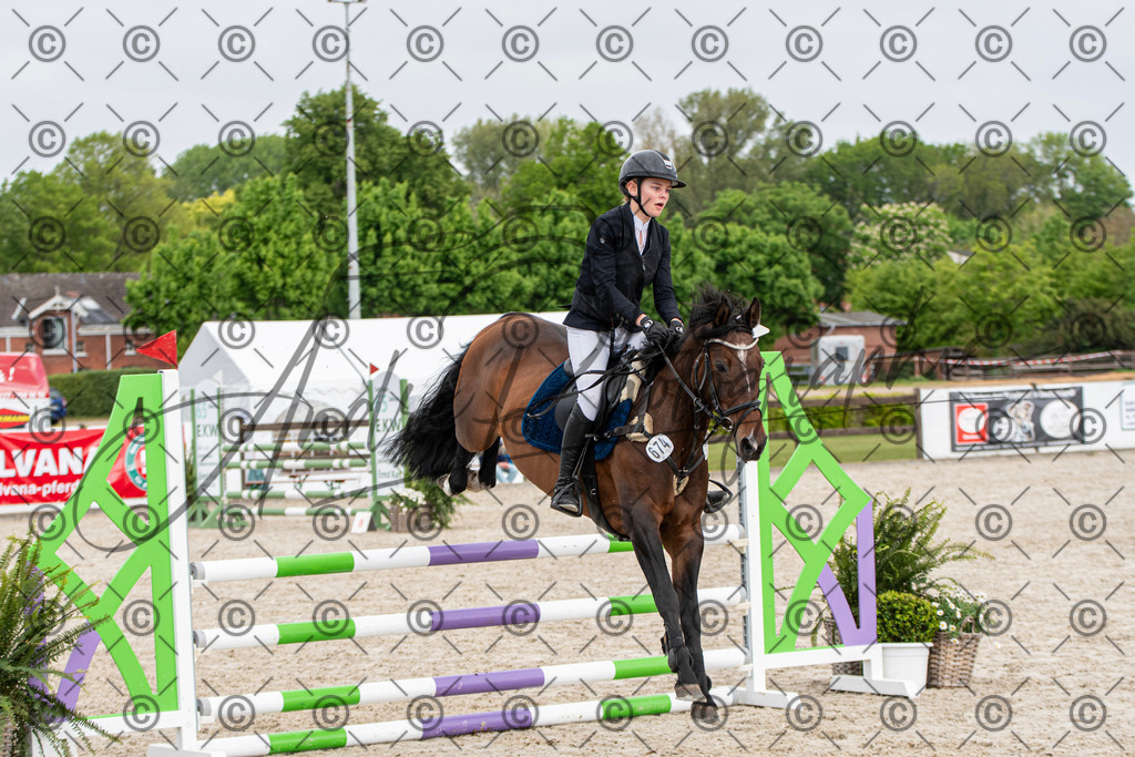 KPT_8088 | andre_photographic