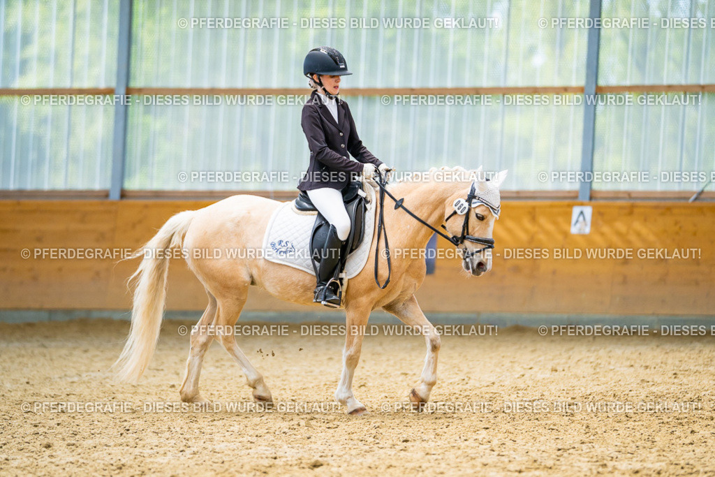 DSC09621 | Pferdegrafie