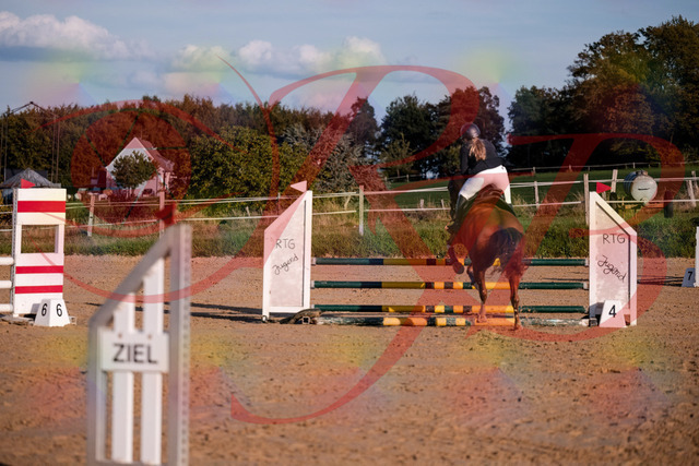 2026_10_03_Siefer-Hof_171727_Z81_15289152 | Professionelle Reitsport-, Turnier- und Eventfotografie von Robert Broda. Galerien mit ausgewählten und bearbeiteten Bildern direkt online ansehen und bestellen.