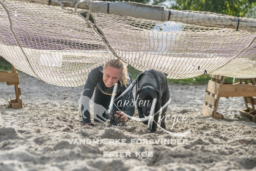 1149_ZZ99239 | kk-dogfotos