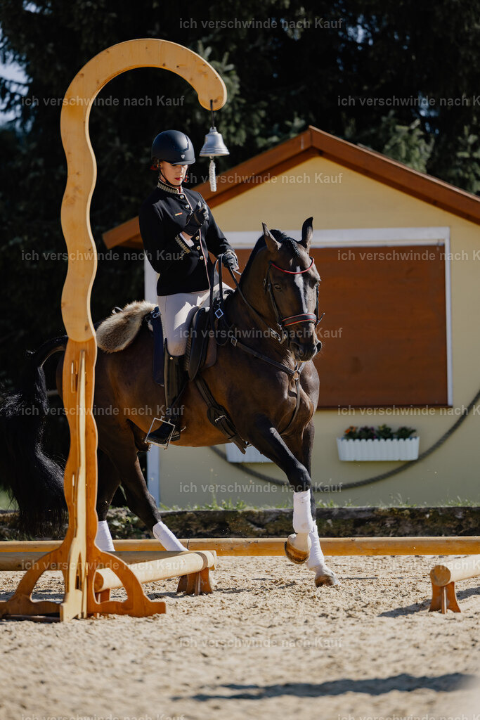 Virginie12FHC2025-27637 | working equitationturnier fotograf videograf stoibphotography marixx film working equitation deutschland reitsport turnierfotografie eventfotografie equestrian events