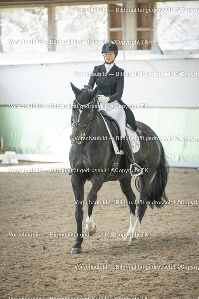 _D5A1626 | Emotionale Pferde- & People-Fotografie rund um Heidelberg, Leimen & Umgebung. Natürliche Fotos von Pferd, Mensch & Familie. Jetzt Termin sichern!