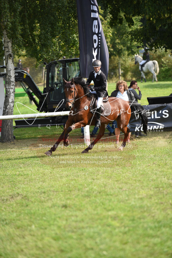 DSC_8817 | Pferde- und Turnierfotografie in Westsachsen. Pferdeportraits, Auftragszeichnungen und intuitive Kunst.