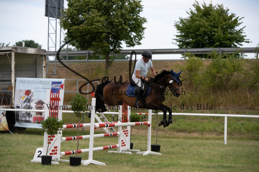 A7V01313 | Pferdefotograf