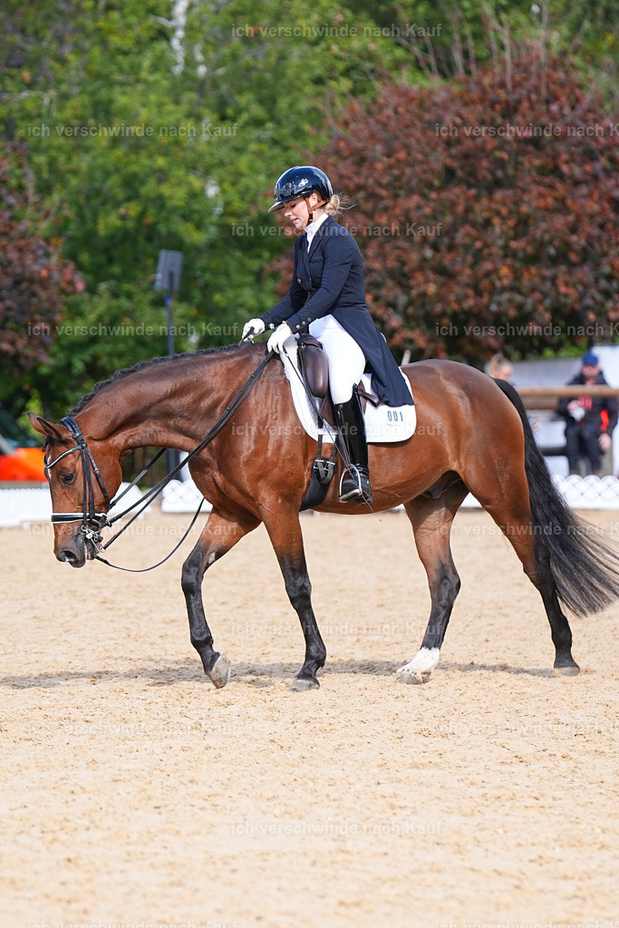 09_2-001-DRESSUR  S_  -Marixx-5958 | working equitationturnier fotograf videograf stoibphotography marixx film working equitation deutschland reitsport turnierfotografie eventfotografie equestrian events