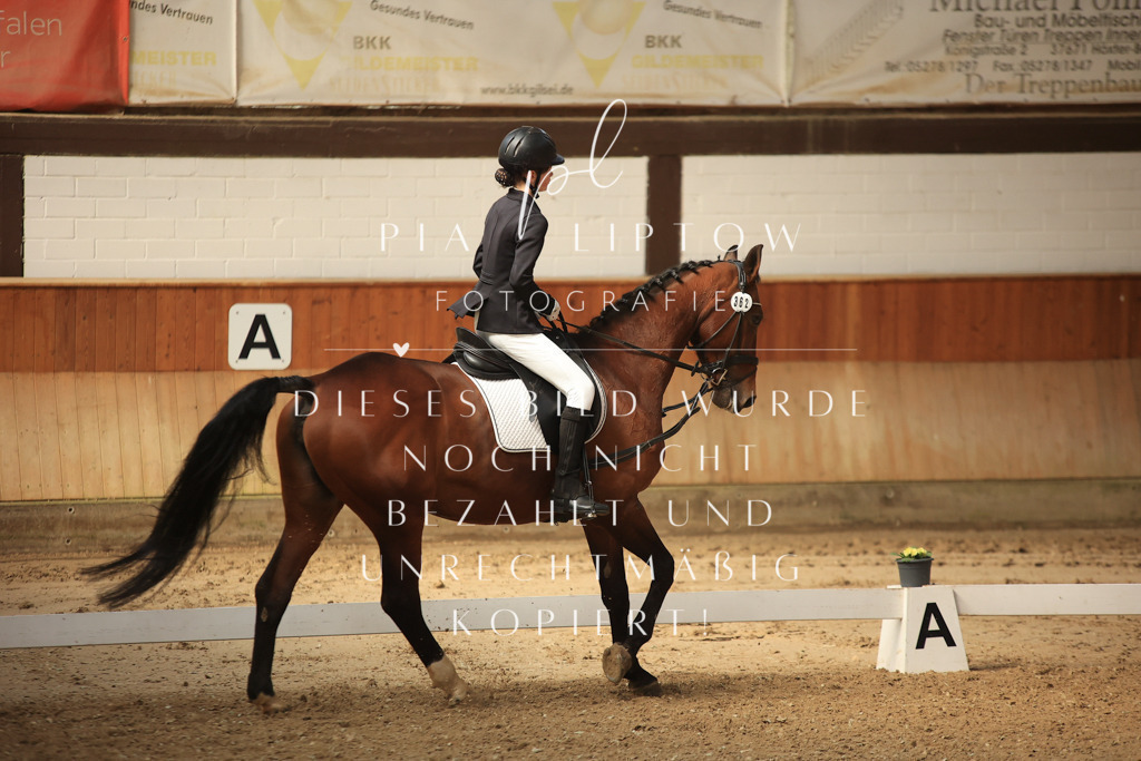 IMGT5418 | pl-fotografie