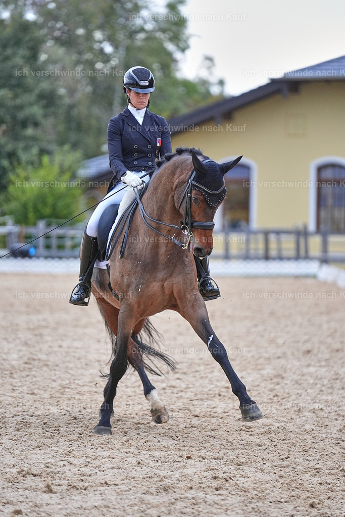 12-186-DRESSUR  S___  -Marixx-5257 | working equitationturnier fotograf videograf stoibphotography marixx film working equitation deutschland reitsport turnierfotografie eventfotografie equestrian events