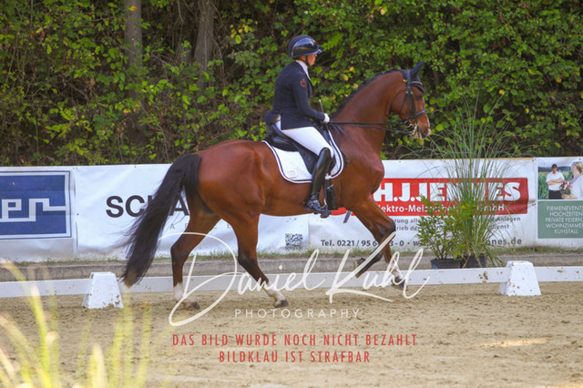 DKP41617 | Turniersportfotografie; Pferdefotografie; Dressurfotografie