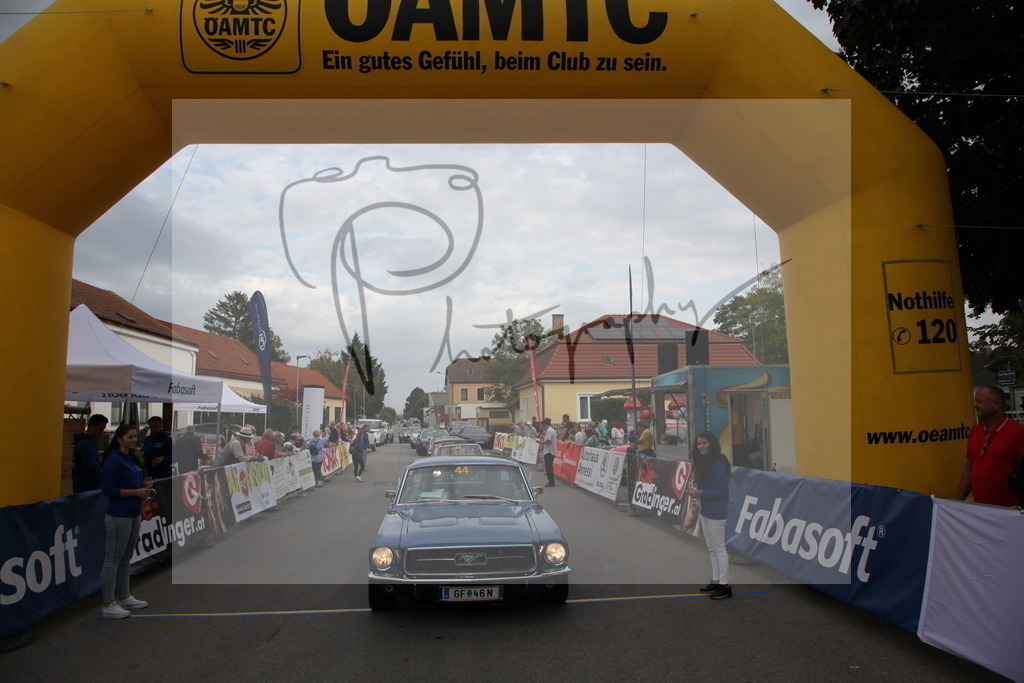 IMG_6115 | Gerhard Witt