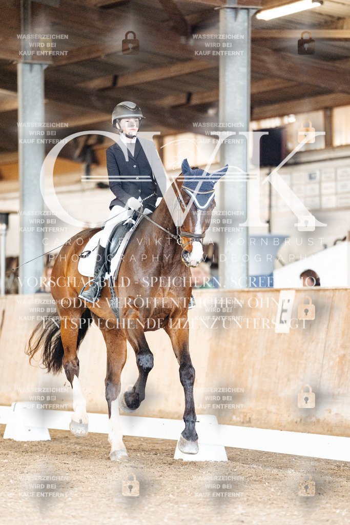 CK901209 | Turnierfotografie Pferdefotografie Trier Rheinland-Pfalz Pferdesport Reitsport Tierfotografie Sportfotografie Pferdevideo Pferdevideografie Equestrianvideography equestrianphotography  - Realisiert mit Pictrs.com