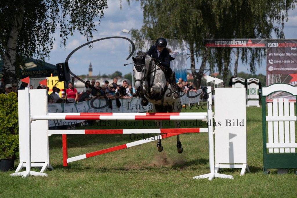 A7V04714 | Pferdefotograf