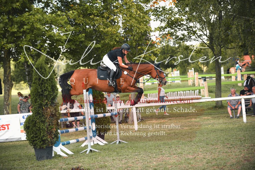 DSC_6706 | Pferde- und Turnierfotografie in Westsachsen. Pferdeportraits, Auftragszeichnungen und intuitive Kunst.