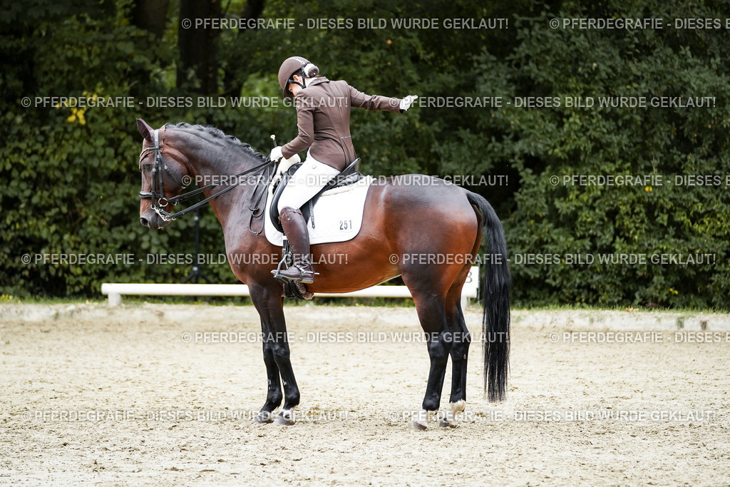 DSC00962 | Pferdegrafie